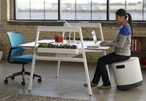 woman sitting at a shared office desk in a modern work space
